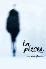 Poster de la película In Pieces