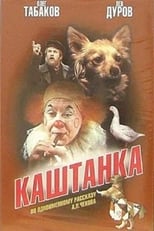 Poster de la película Kashtanka