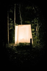 Poster de la película Morpho