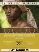 Poster de la película Prince Among Slaves