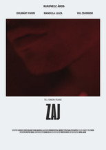 Poster de la película Zaj