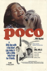 Poster de la película Poco… Little Dog Lost