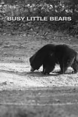 Poster de la película Busy Little Bears