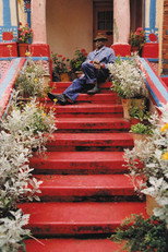 Poster de la película A Portrait of Mr Pink