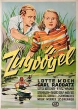 Poster de la película Zugvögel