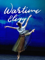 Poster de la película Wartime Elegy - An evening of ballet at the National Opera of Ukraine