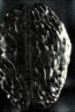 Poster de la película Headcleaner