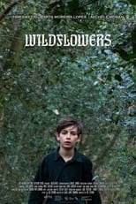 Poster de la película Wildflowers
