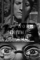 Poster de la película Worm in the Bud