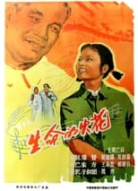 Poster de la película 生命的火花