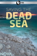 Poster de la película Saving the Dead Sea
