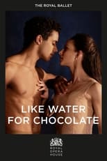 Poster de la película Like Water for Chocolate