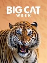 Poster de la serie Big Cat Diary