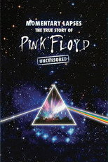 Poster de la película Pink Floyd: Momentary Lapses - The True Story of Pink Floyd