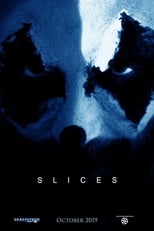 Poster de la película Slices