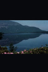 Poster de la película Return to Kerry