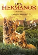 Poster de la película Dos hermanos