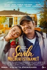 Poster de la película Sevda Mecburi İstikamet