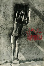 Poster de la película Harmonica