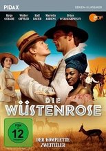 Poster de la película Die Wüstenrose