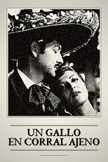 Poster de la película Un gallo en corral ajeno