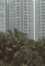 Poster de la película South Horizons