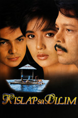 Poster de la película Spark in the Dark