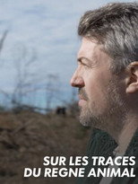 Poster de la película Sur les traces du règne animal