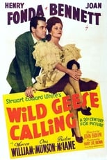 Poster de la película Wild Geese Calling