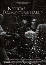 Poster de la película Népirtás Pozsonyligetfalun