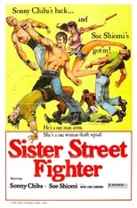 Poster de la película Sister Street Fighter