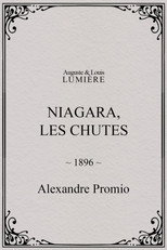 Poster de la película Niagara Falls