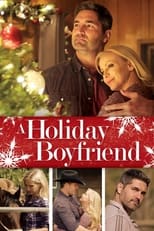 Poster de la película A Holiday Boyfriend