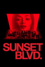 Poster de la película Sunset Blvd