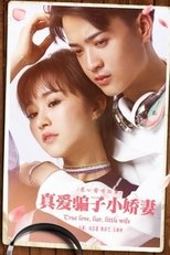 Poster de la película 真爱骗子小娇妻