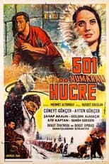 Poster de la película 501 Numaralı Hücre