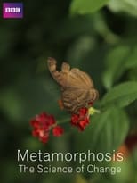 Poster de la película Metamorphosis: The Science of Change