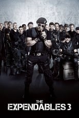 Poster de la película The Expendables 3