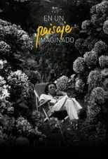 Poster de la película Imagined Landscape