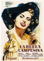 Poster de la película La bella campesina