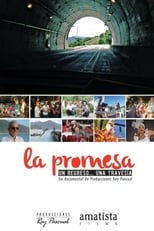 Poster de la película La promesa