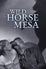 Poster de la película Wild Horse Mesa