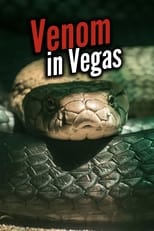 Poster de la película Venom In Vegas
