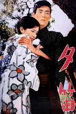 Poster de la película Lost Love