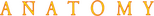 Logo Anatomy