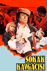 Poster de la película Sokak Kavgacısı