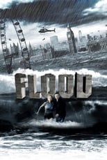 Poster de la película Flood