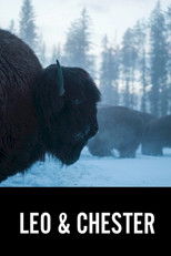 Poster de la película Leo & Chester