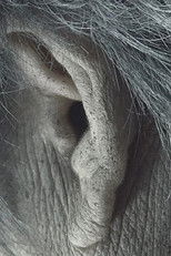 Poster de la película Immortal Woman