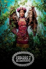 Poster de la película Lila Downs - Pecados y Milagros